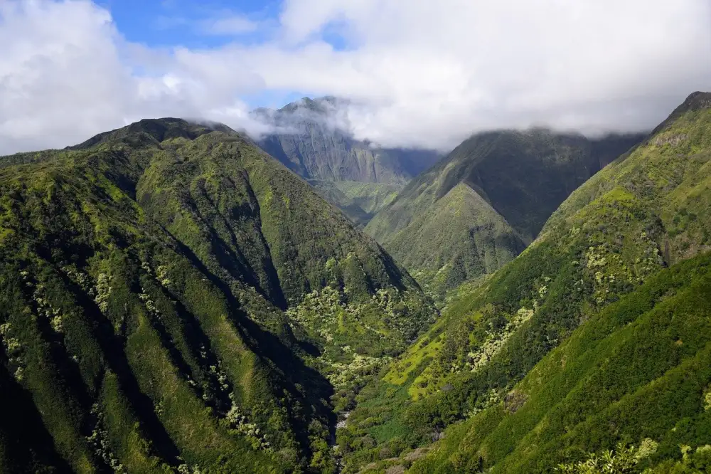 Aaa Hawaii Insurance